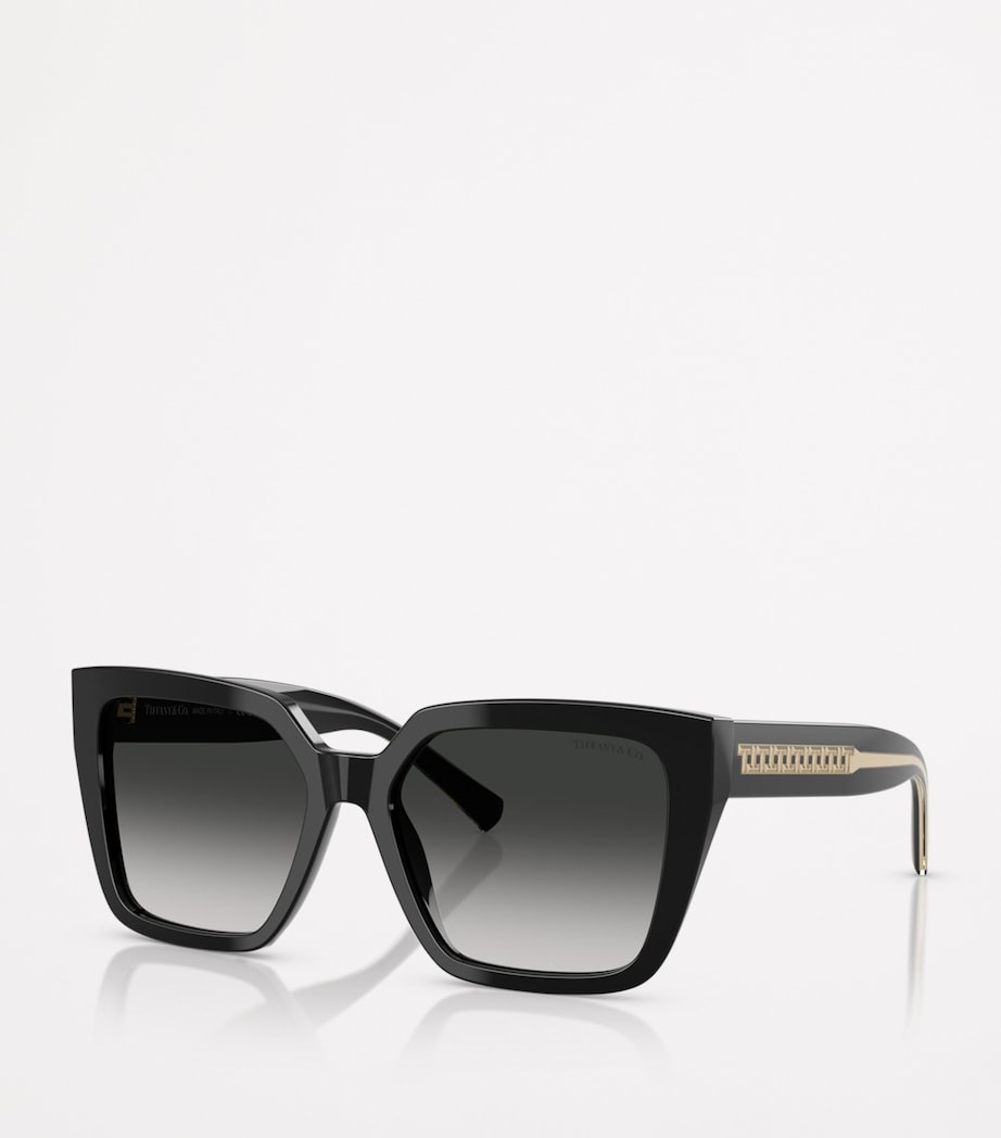 Tiffany & Co. TF4235 acetate square sunglasses (British brand)