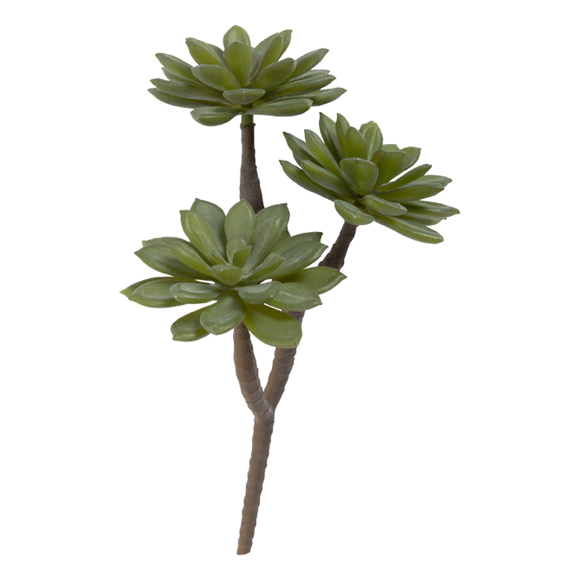 Habitat  Single Stem Faux Succulent GOODS Sainsburys   