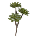 Habitat  Single Stem Faux Succulent GOODS Sainsburys   