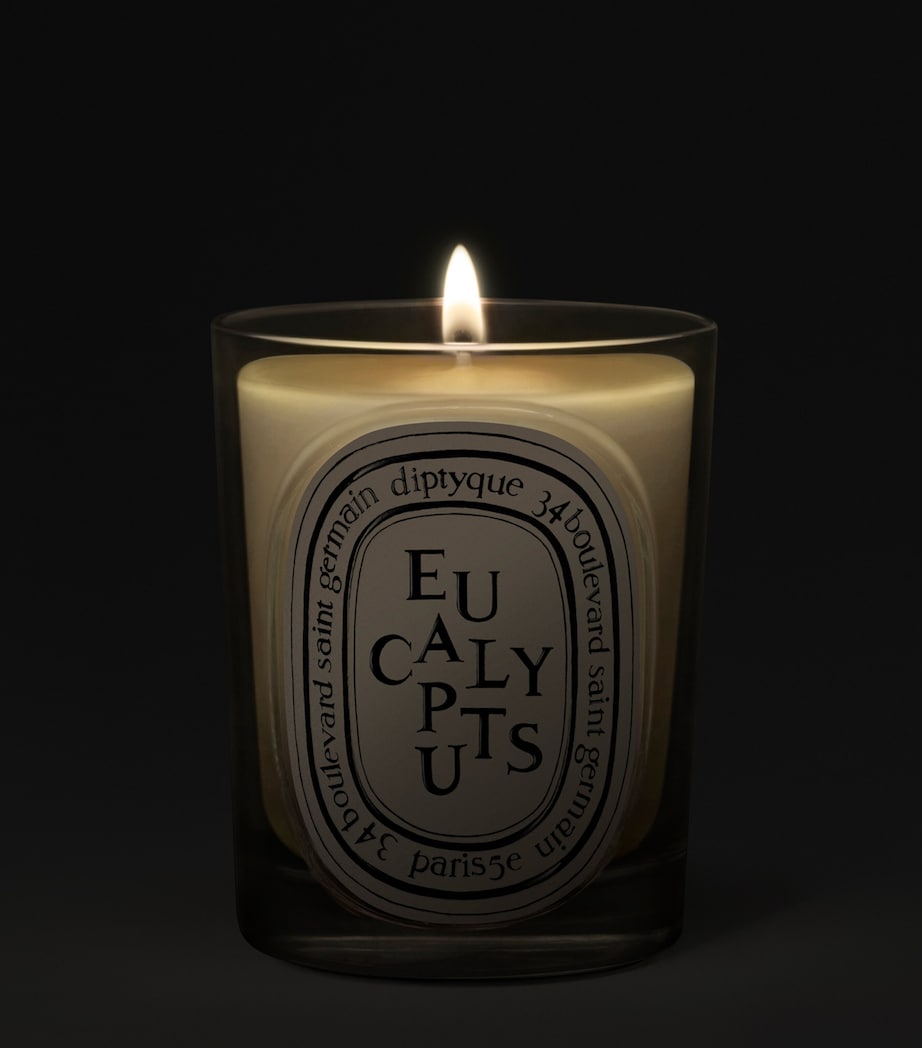 Bougie Eucalyptus Diptyque 190g, importée du Royaume-Uni