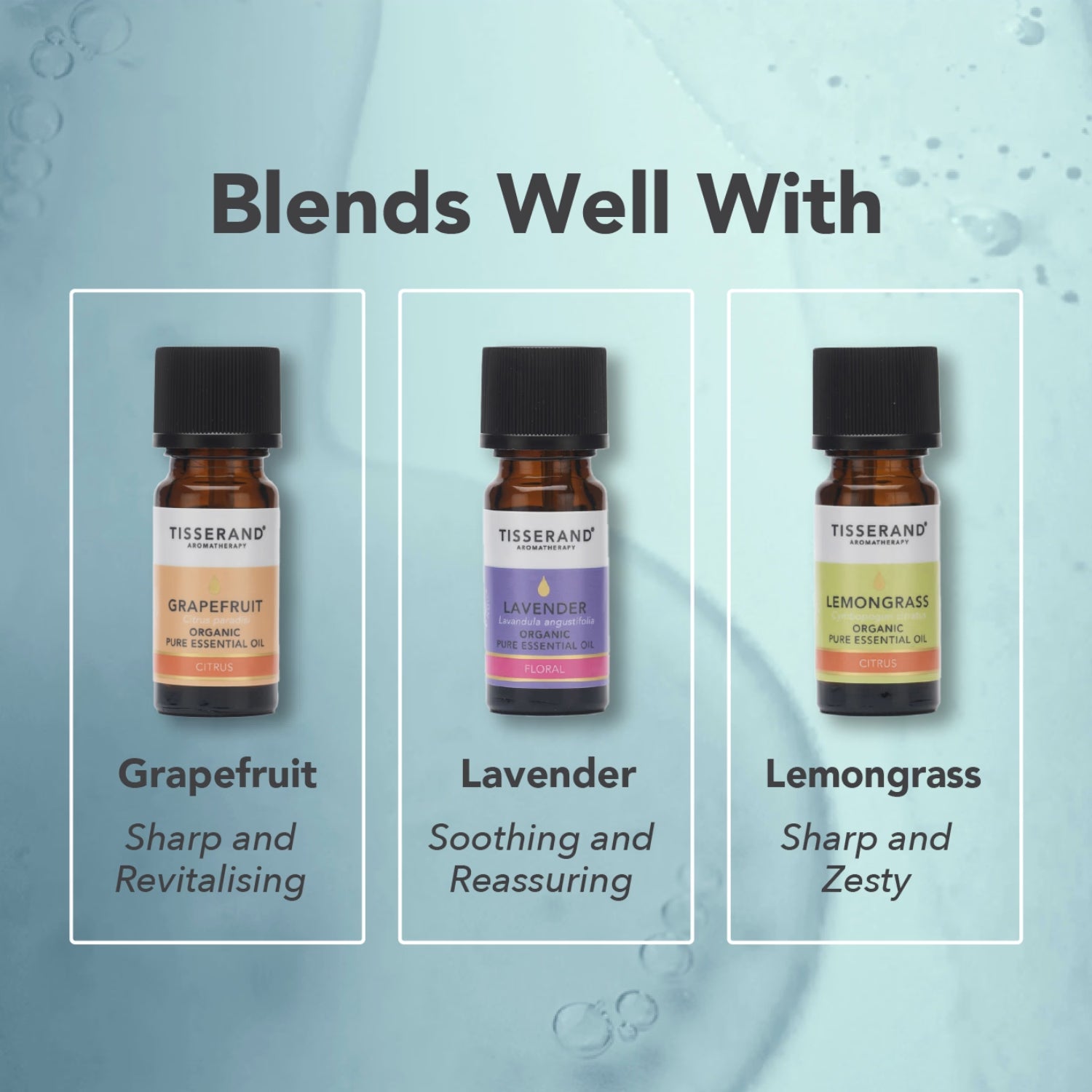 Rosemary Organic Essential Oil, imported from the UK