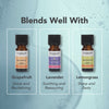 Rosemary Organic Essential Oil, imported from the UK