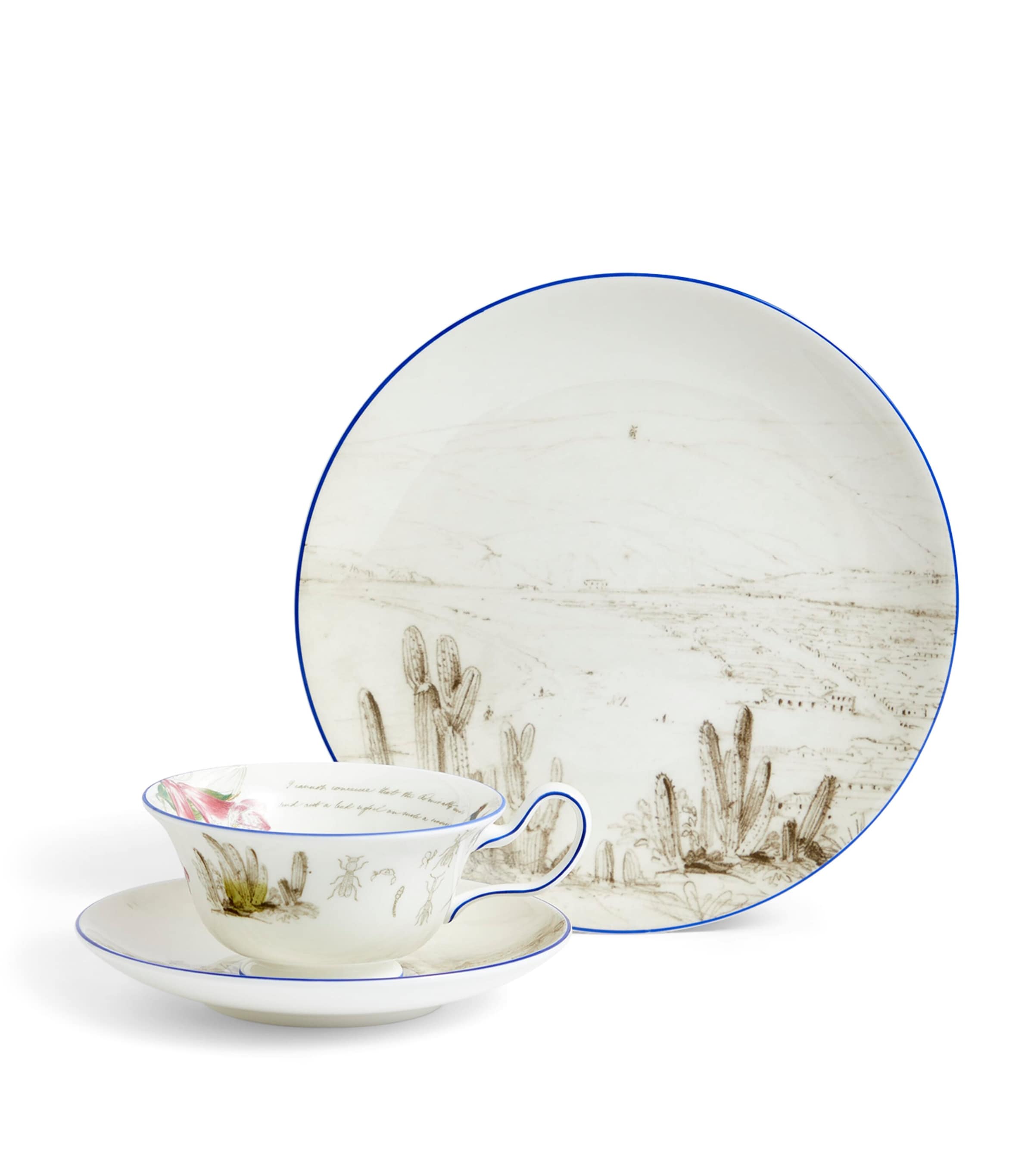 Wedgwood Voyage of the Beagle Chile bone china tea set (British brand)