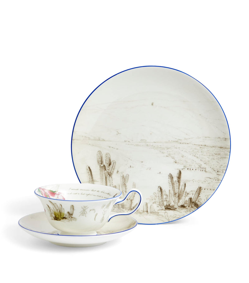 Wedgwood Voyage of the Beagle Chile bone china tea set (British brand)