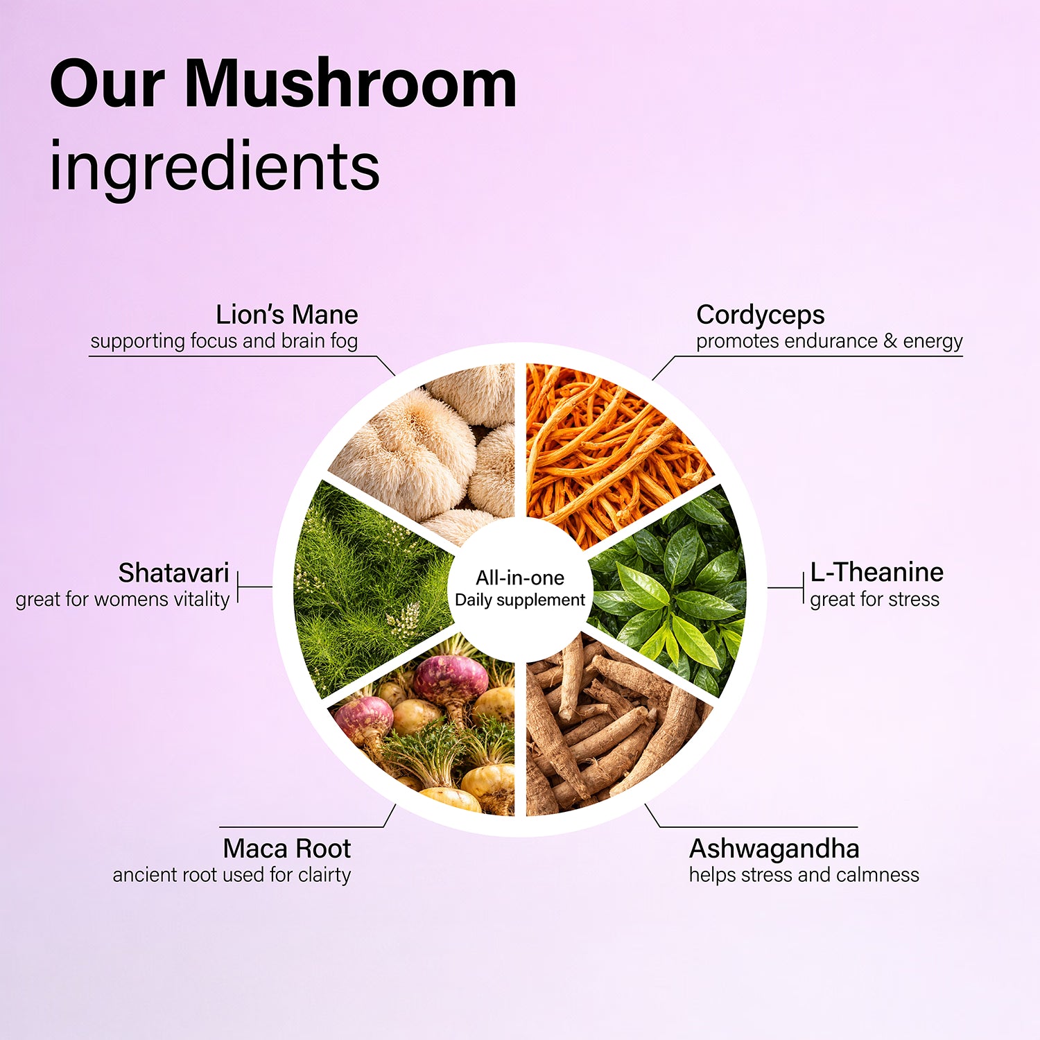 Dr Fungi Vitality Mushroom Superblend - British product
