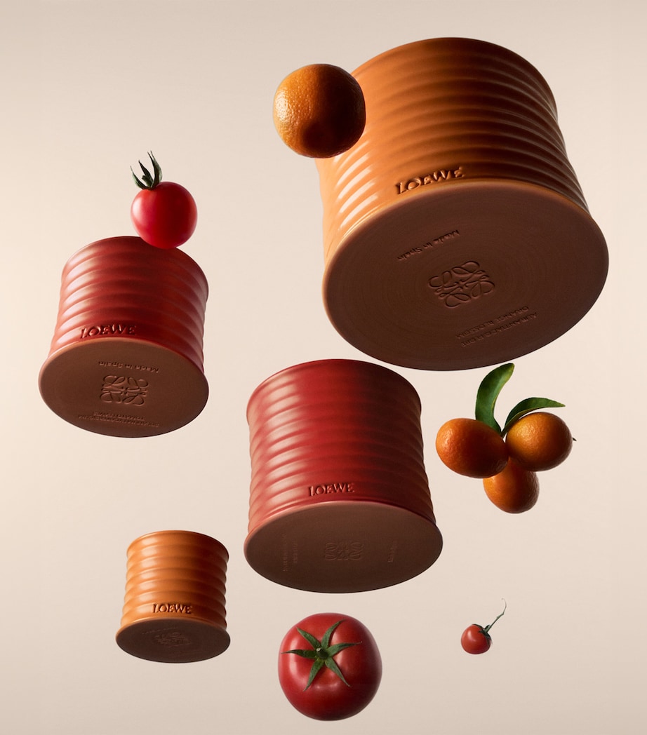 LOEWE Orange Blossom candle 0.5kg, UK version