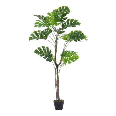 Superdrug Livingandhome Artificial Monstera Deliciosa Tree Green Floor Plant 155cm- Buy online at McGrocer