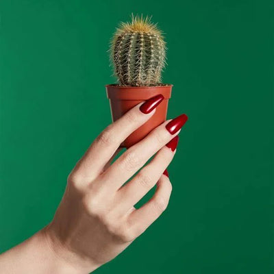 Superdrug Mylee Vernis Gel Kiss Kiss Rouge 8ml- Acheter en ligne chez McGrocer