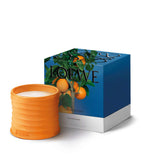 LOEWE Orange Blossom candle 0.5kg, UK version