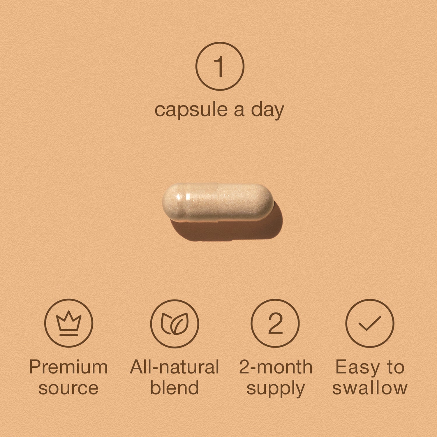 SuperSelf Panax Ginseng Ginkgo Biloba capsules 60 count, imported from the UK