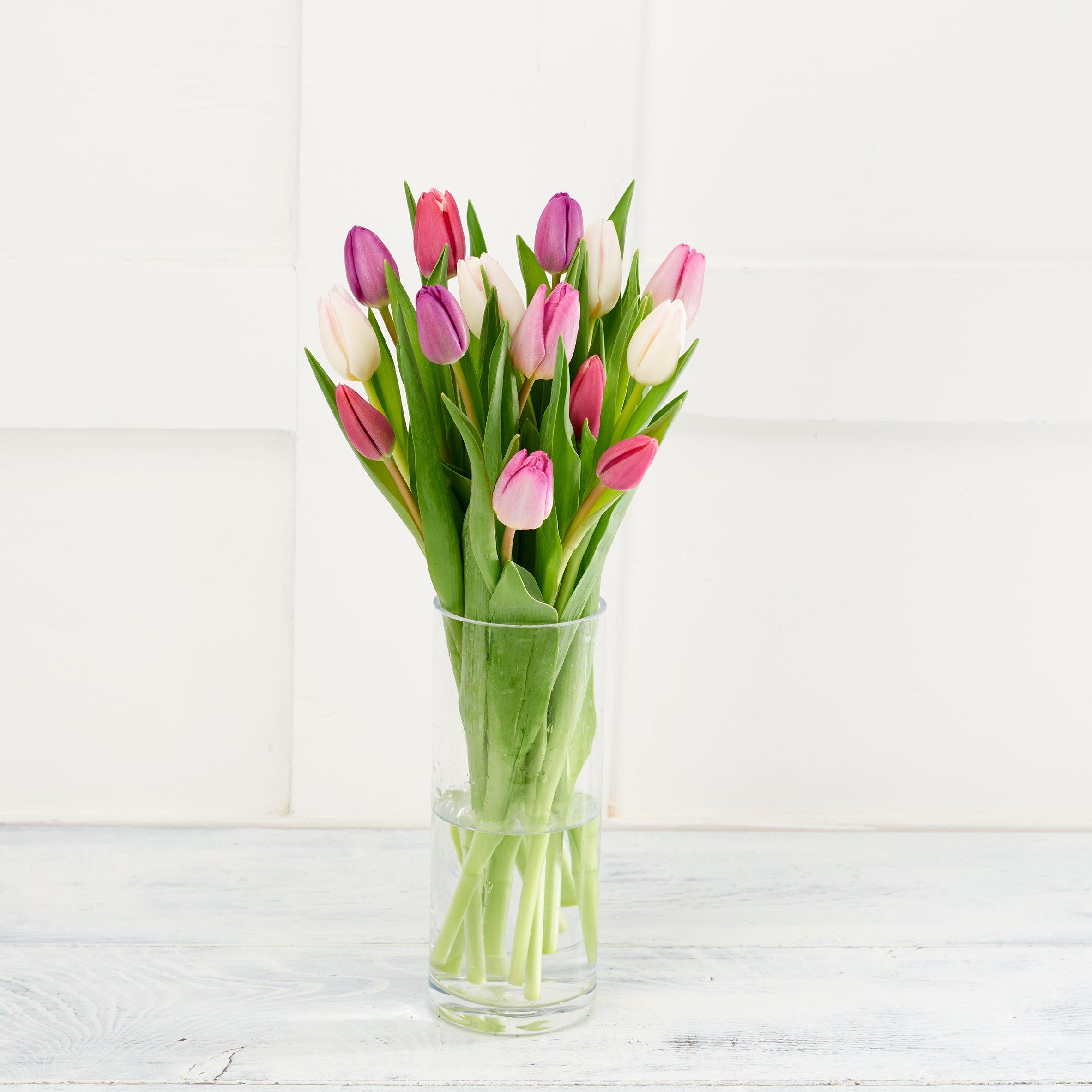 Rainbow Tulips GOODS Sainsburys   