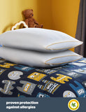 Silentnight 2 pack anti allergy pillows, UK version