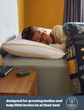 Silentnight 2 pack anti allergy pillows, UK version