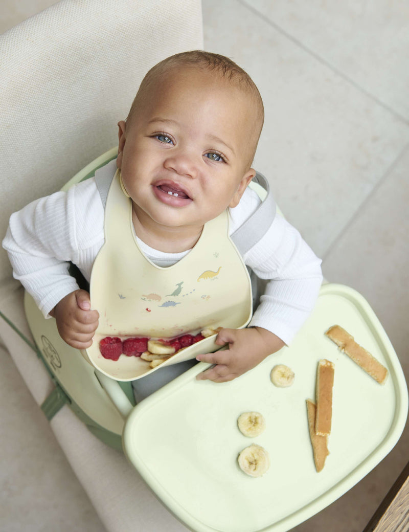 Mamas & Papas silicone bibs 2-pack plain dinosaur imported from the UK