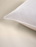Firm cotton pillows 2 pack (British brand)