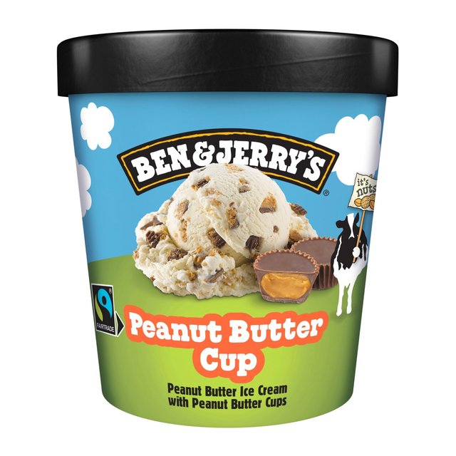 Ben & Jerry's Peanut Butter Cup Ice Cream Tub   465ml