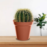 Whitefurze plastic pots pack of 10 7.5cm, imported from the UK