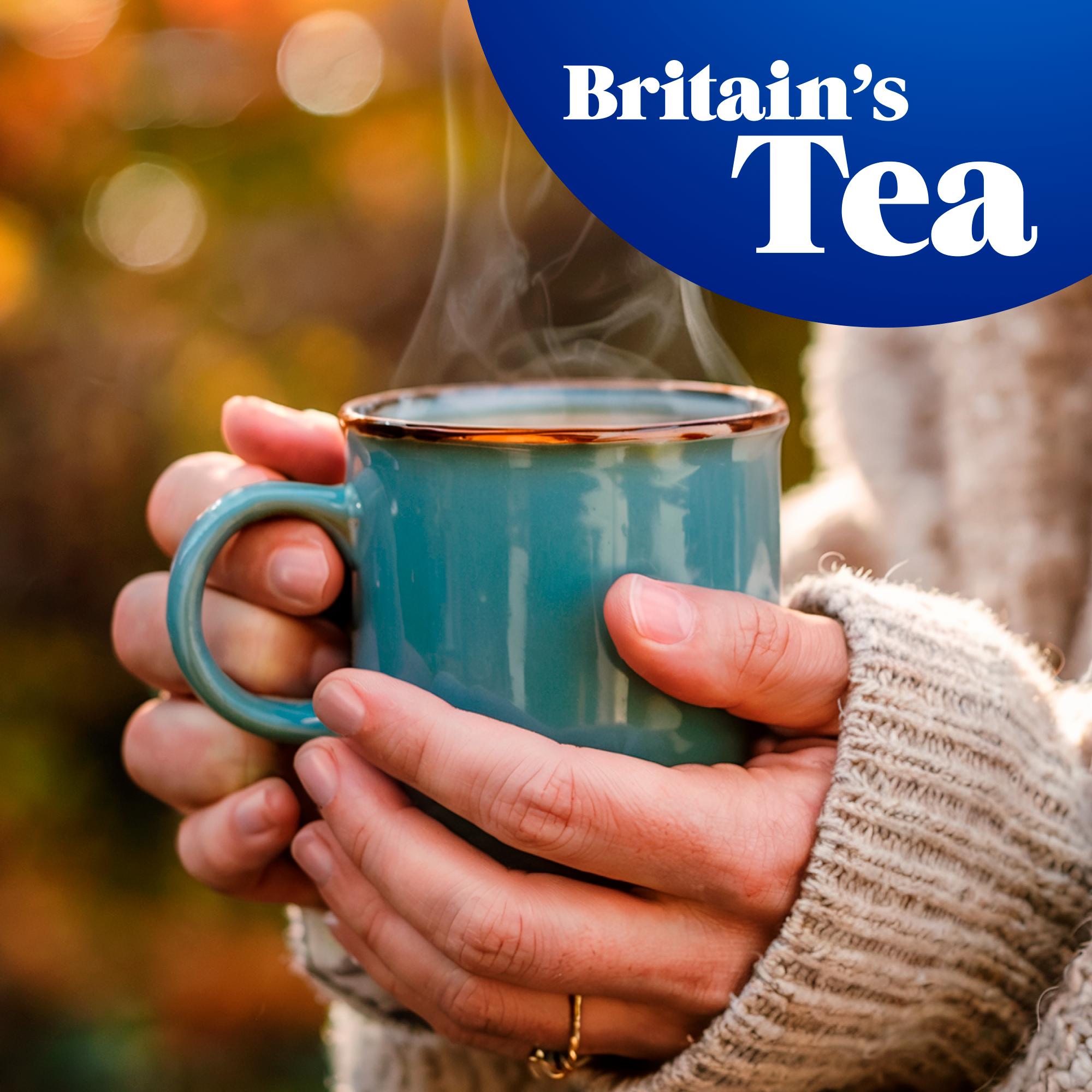 Tetley decaffeinated tea bags 80 count 250g - British product