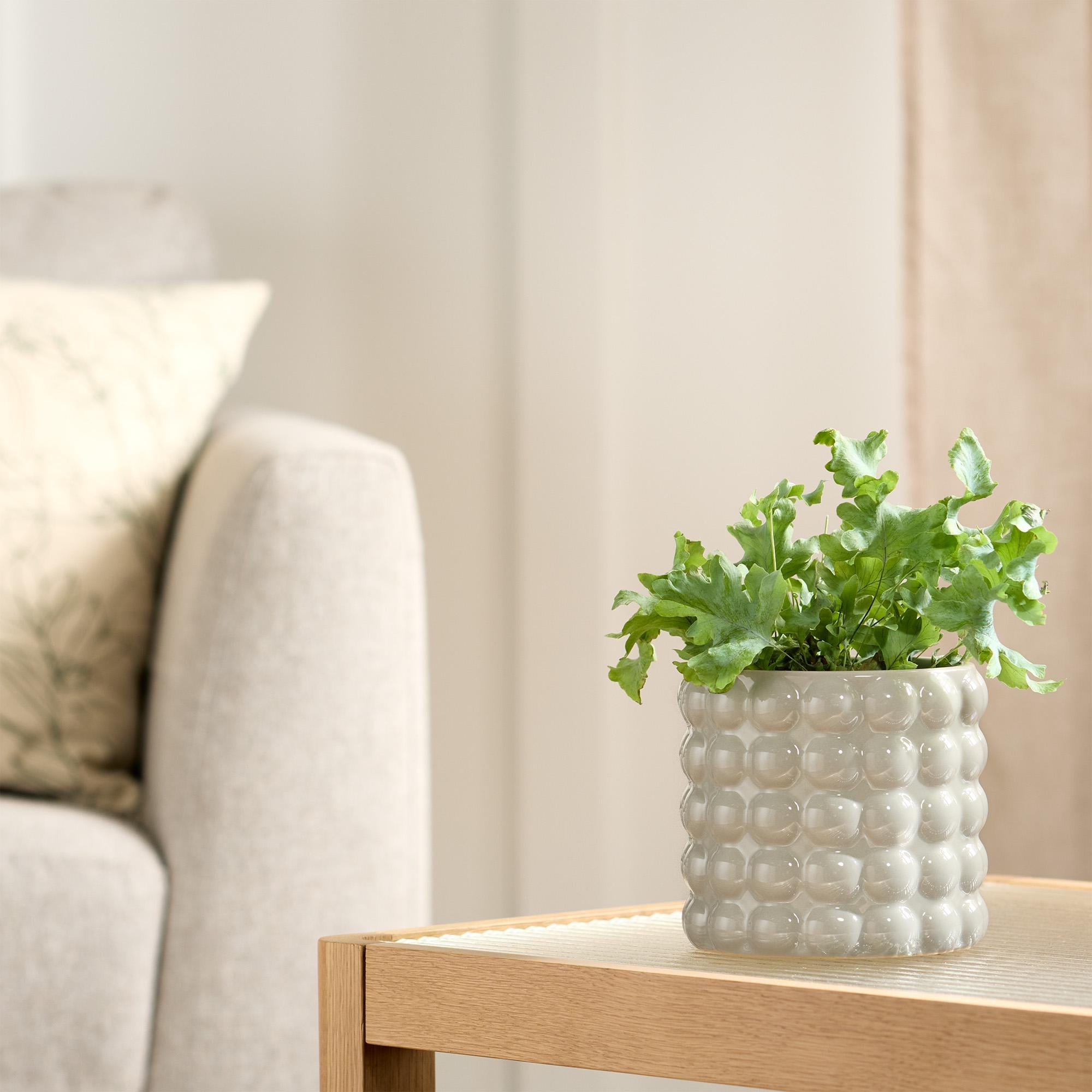 Habitat Stoneware Bobble Medium Planter for Desk Plants, UK version