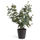 Habitat eucalyptus plant artificial large matte black pot 48cm, UK version
