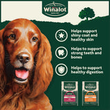 Winalot Meaty Chunks Senior wet dog food 12x100g, imported from the UK