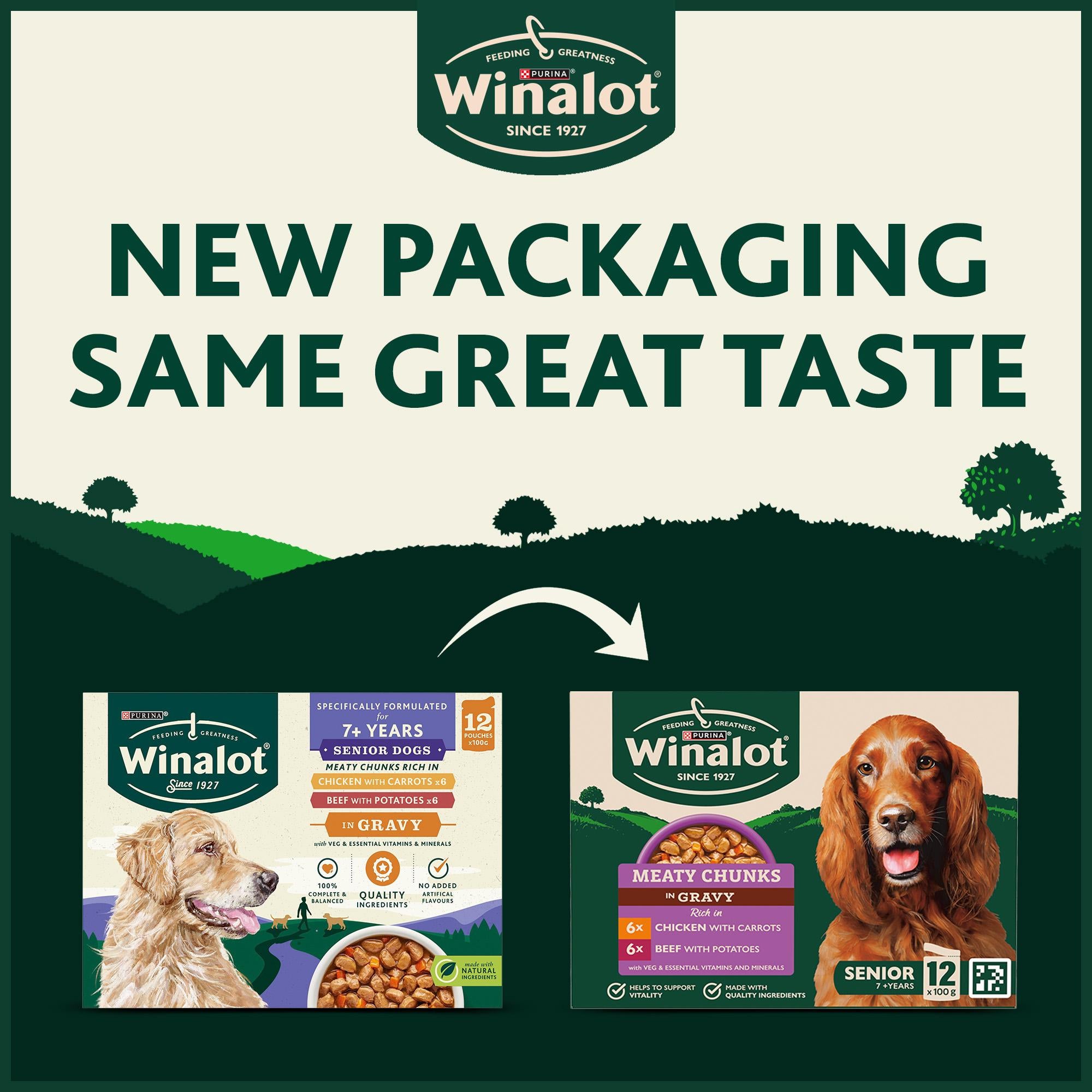Winalot Meaty Chunks Senior wet dog food 12x100g, imported from the UK