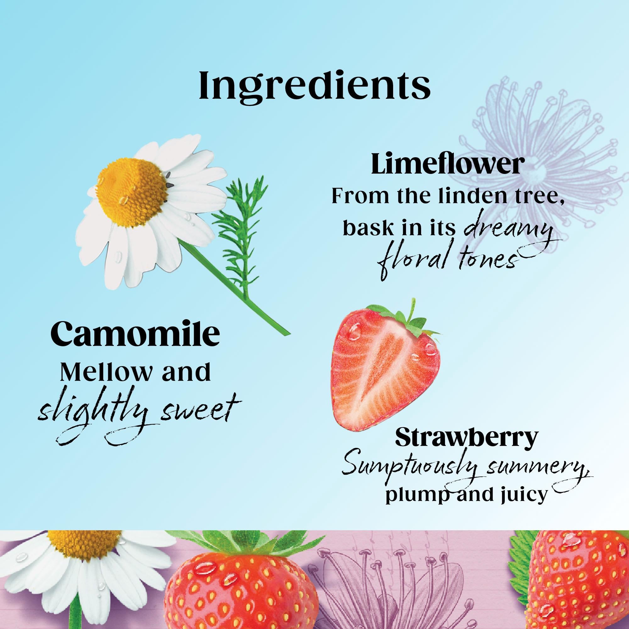 Twinings strawberry camomile limeflower tea bags 20 pack (British brand)