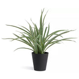 Sainsbury's Home Faux Spider Plant Green 38.1cm (British brand)