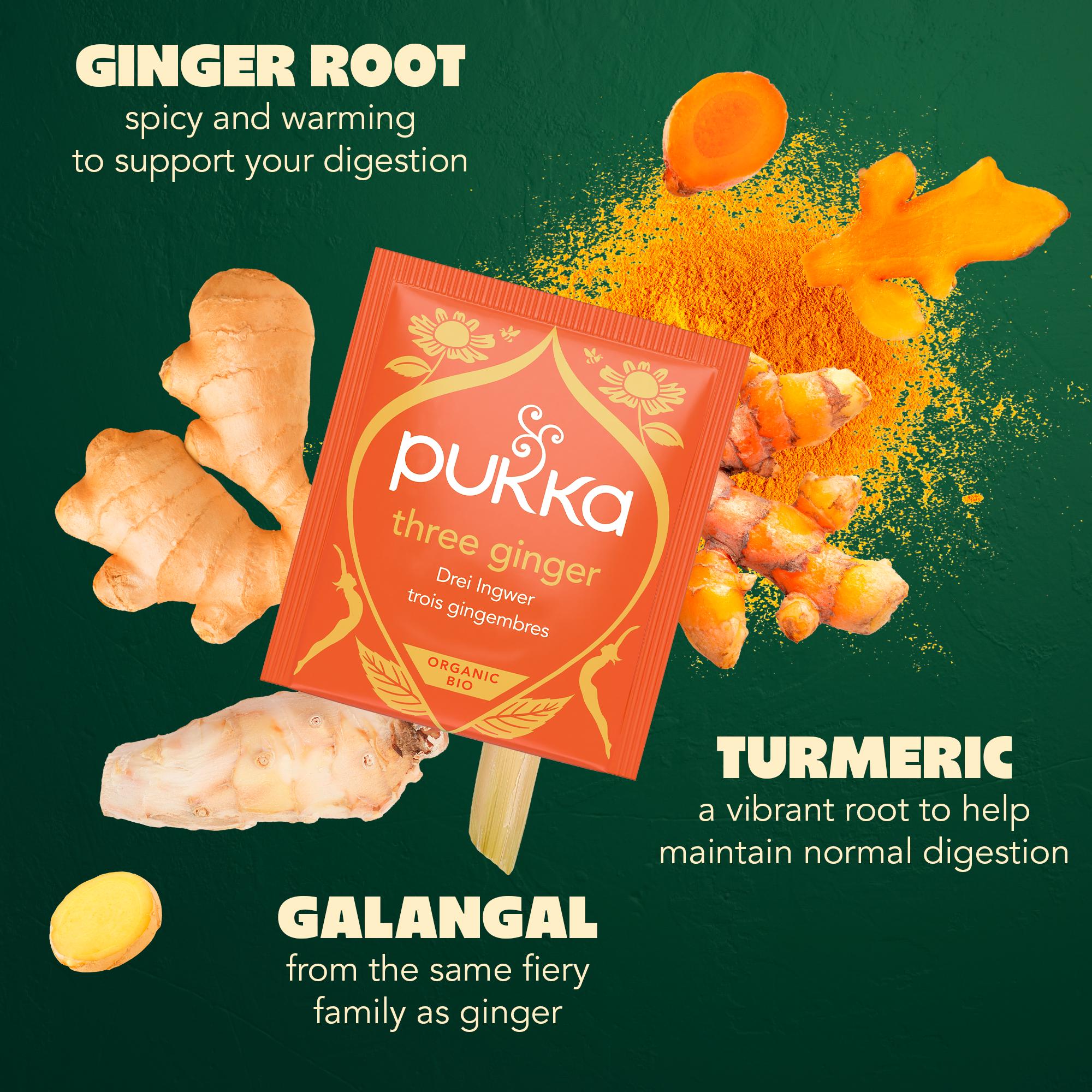 Pukka Three Ginger Tea organic herbal tea bags 20-pack (British brand)