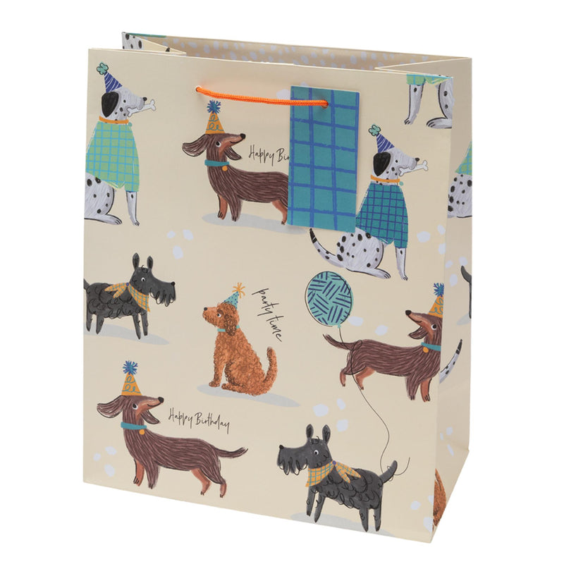 Sainsbury's large dog birthday gift bag (British brand)