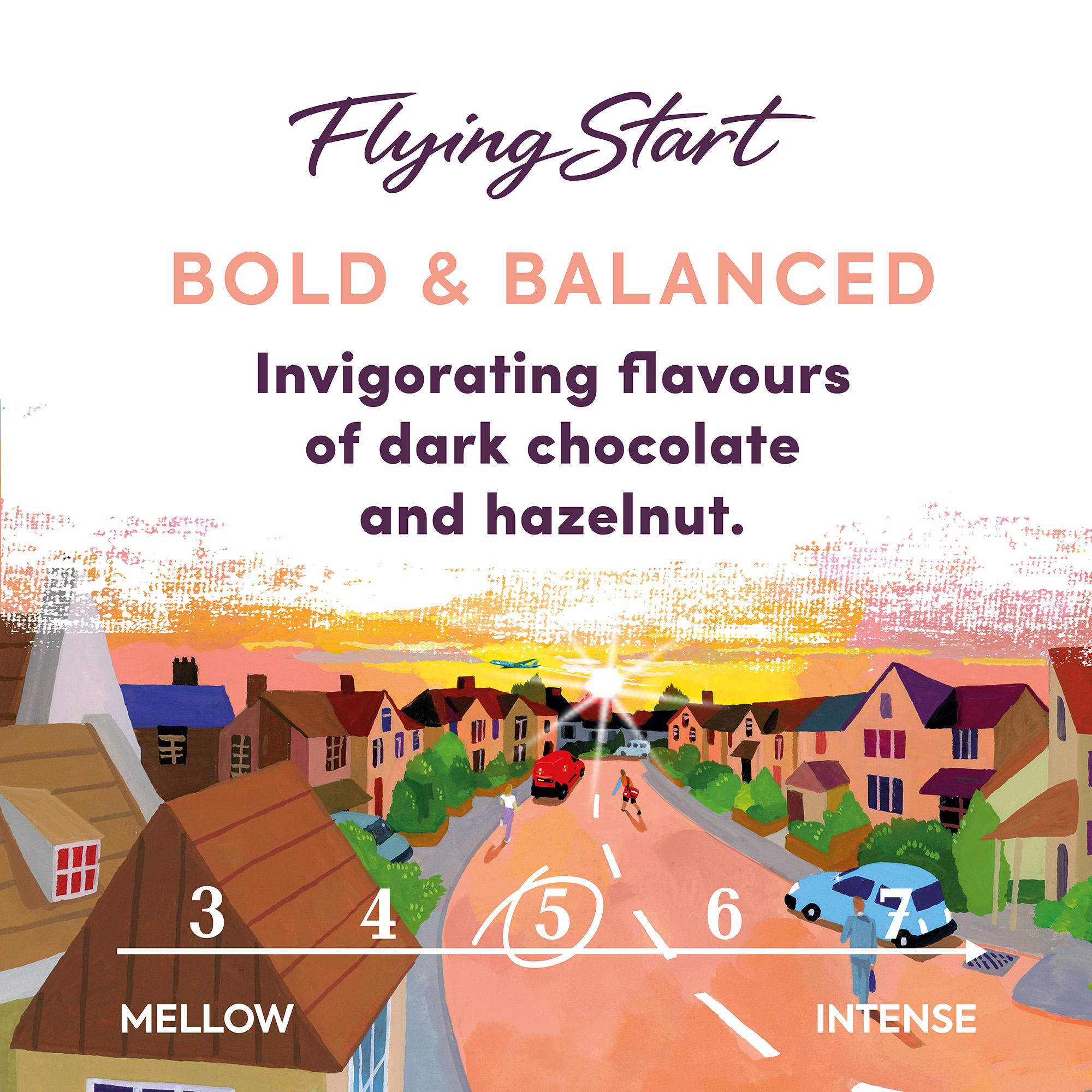 Taylors of Harrogate Flying Start Roast Coffee Beans 700g (British brand)