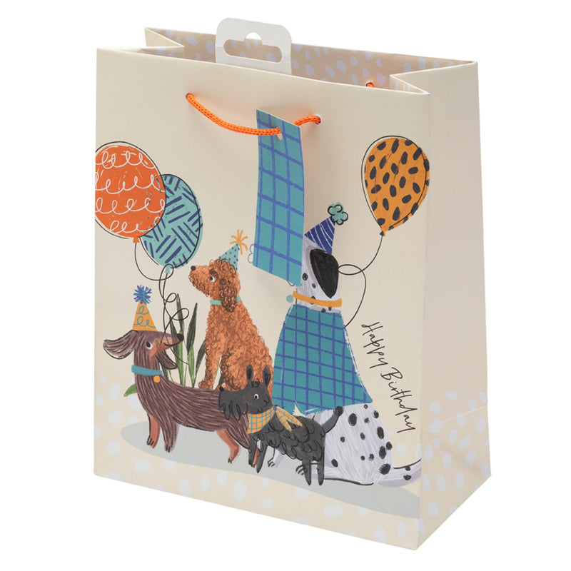 Sainsbury's dog birthday gift bag with tag and handle, UK version