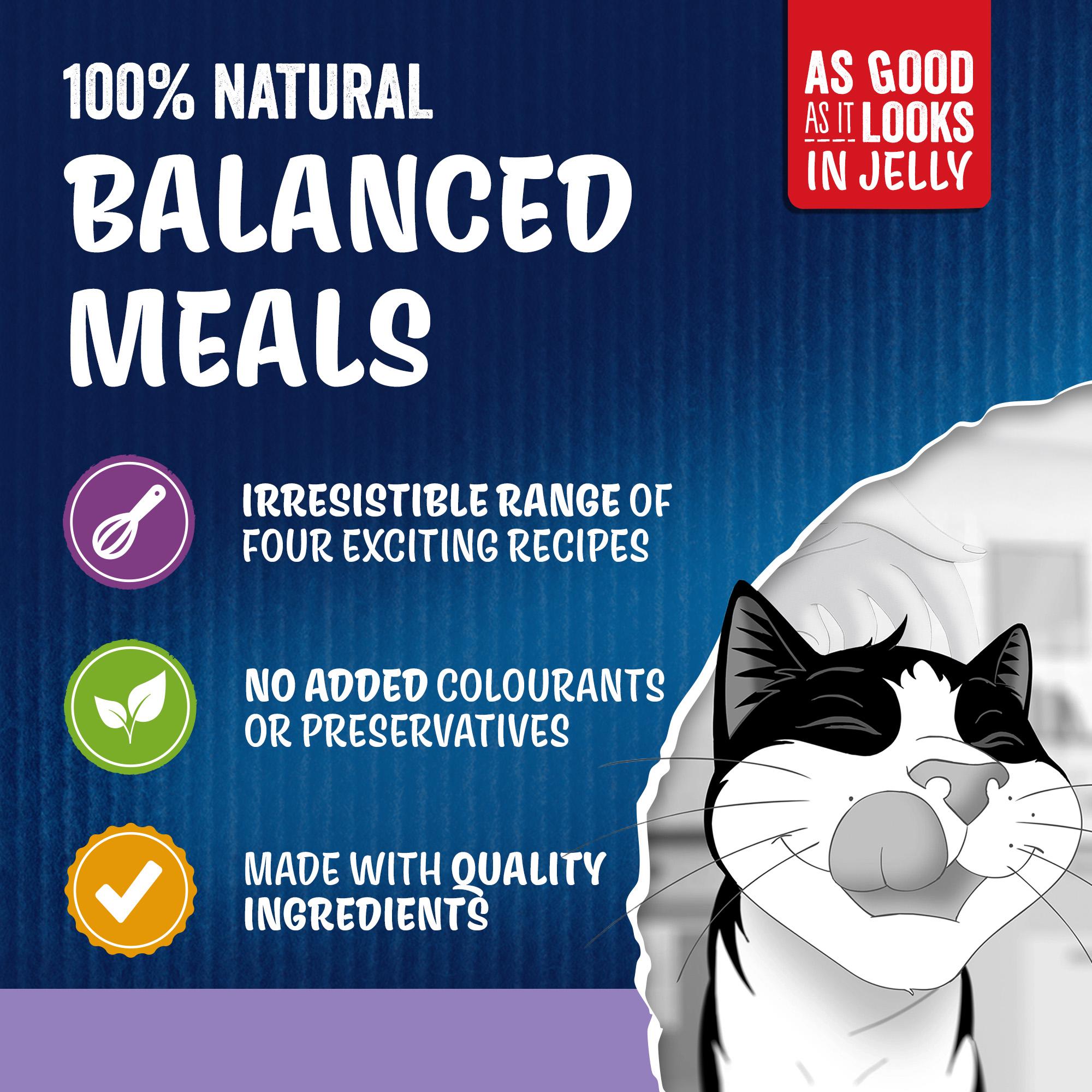 Felix wet cat food pouch selection 80 x 85g - British product