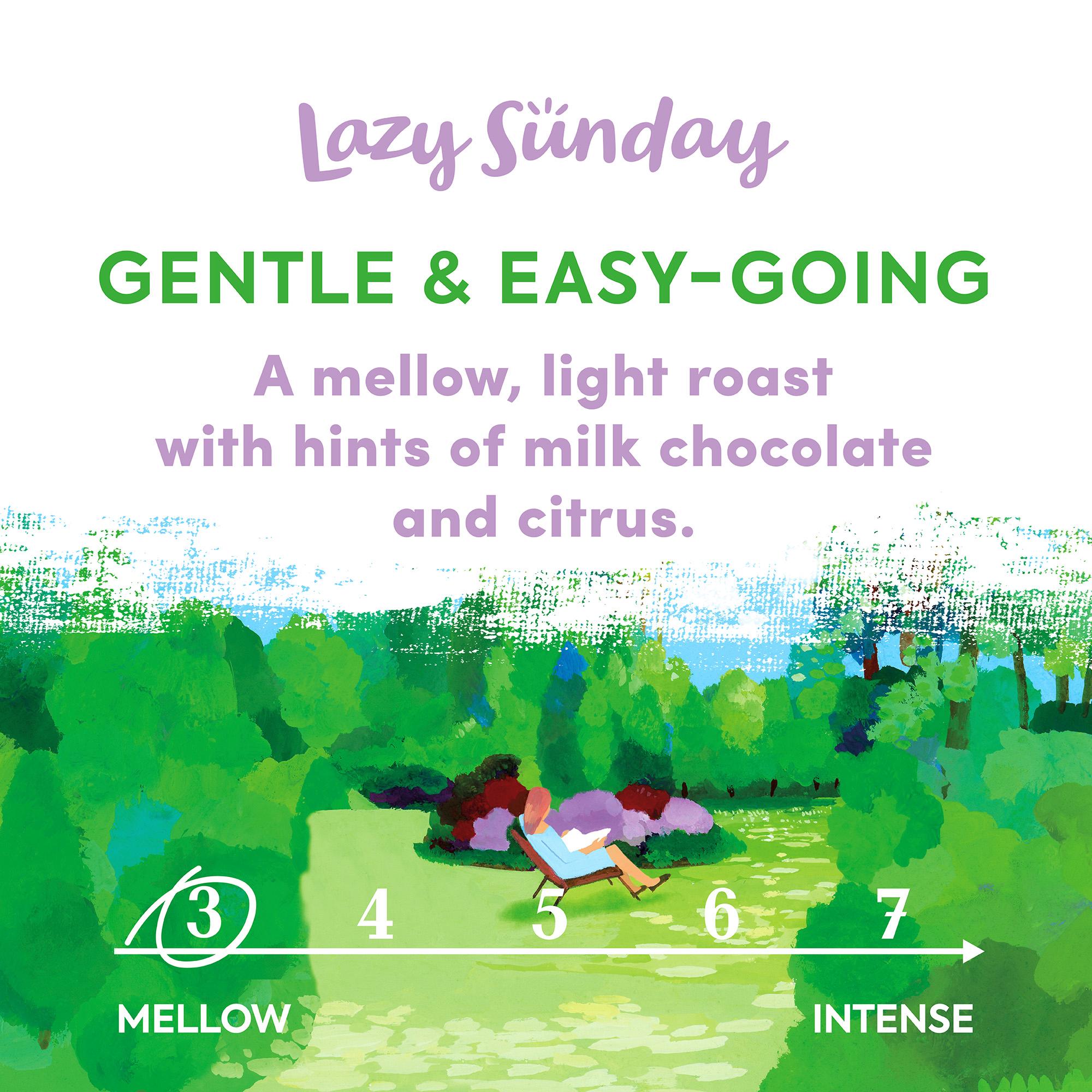 Taylors Lazy Sunday roast ground coffee 400g (British brand)