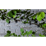 Sainsbury's Home solar festoon lights 20 clear bulbs (British brand)