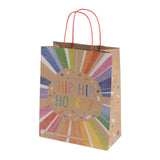 Sainsbury's Eco Nature medium rainbow gift bag (British brand)