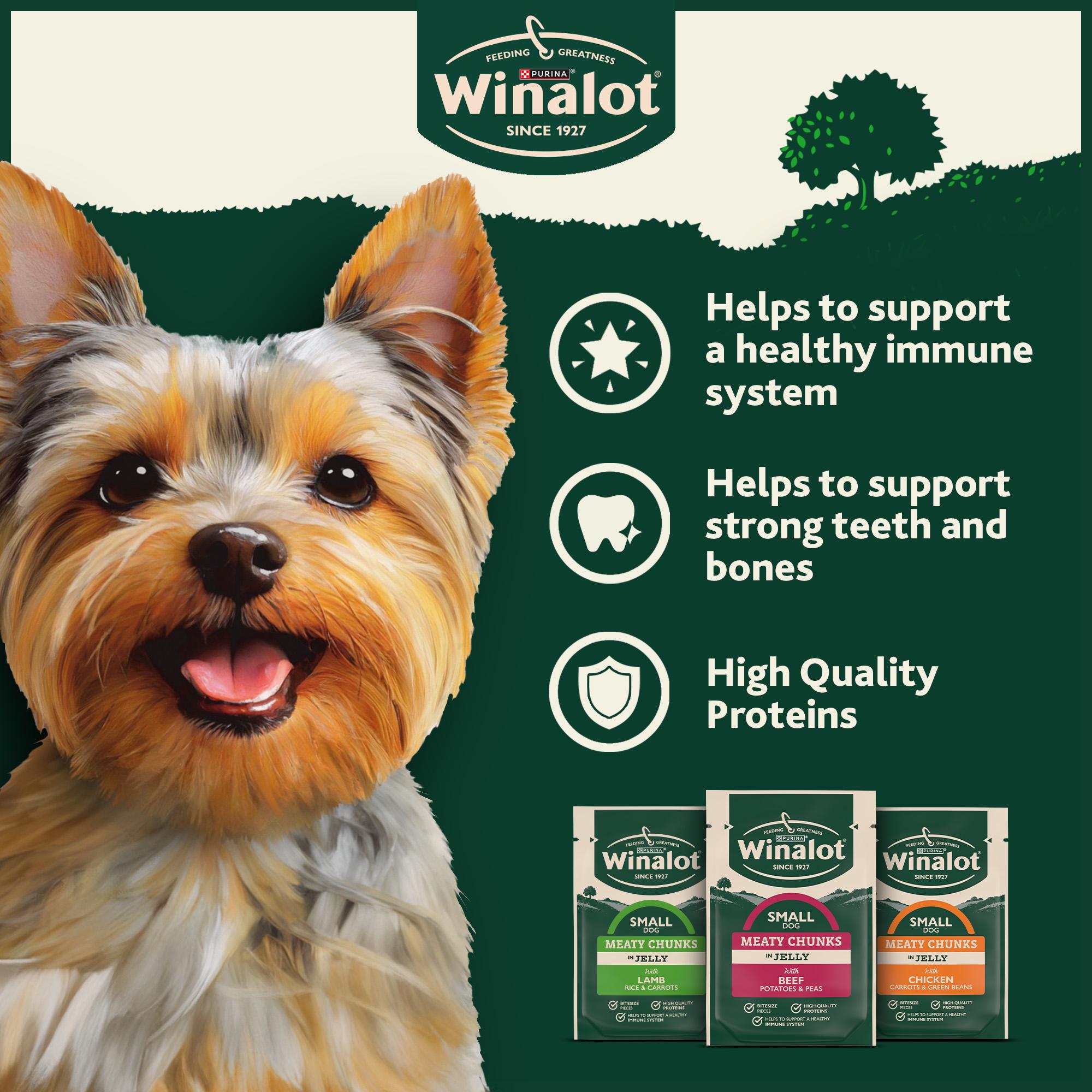 Winalot small dog food meaty chunks 12x85g, imported from the UK