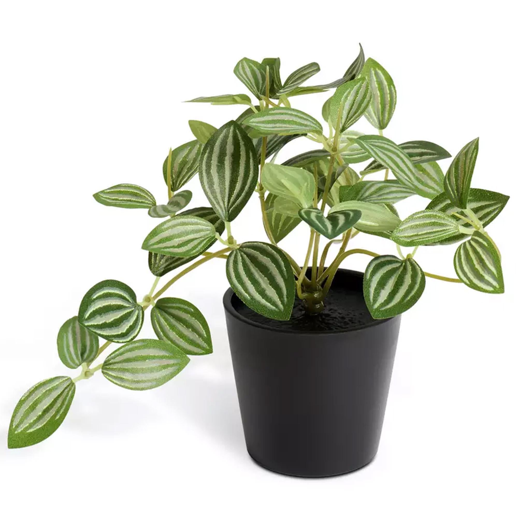 Habitat Artificial Green Small Trailing Plant 17cm, UK version