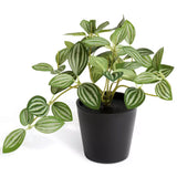 Habitat Artificial Green Small Trailing Plant 17cm, UK version