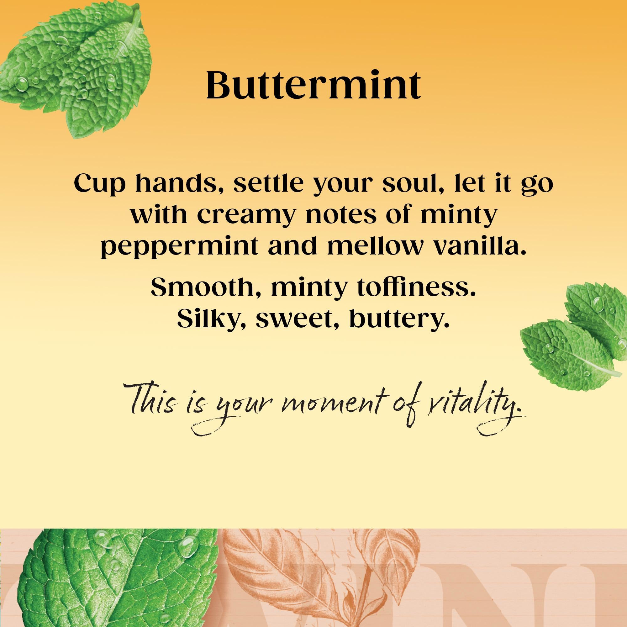 Twinings Buttermint herbal tea bags 20 Count, imported from the UK
