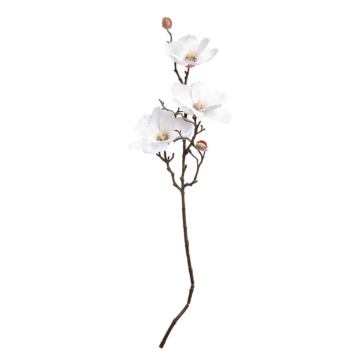 Sainbury's faux magnolia single stem 70cm, UK version
