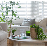 Habitat woven planter large, imported from the UK