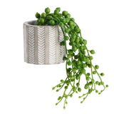 Sainsbury's Home Artificial String of Pearls Succulent Cement Pot (British brand)