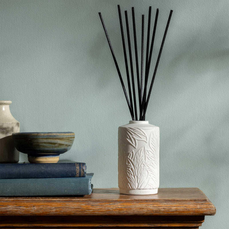Habitat Morris & Co. reed diffuser Willow & Cedarwood 90ml, UK version