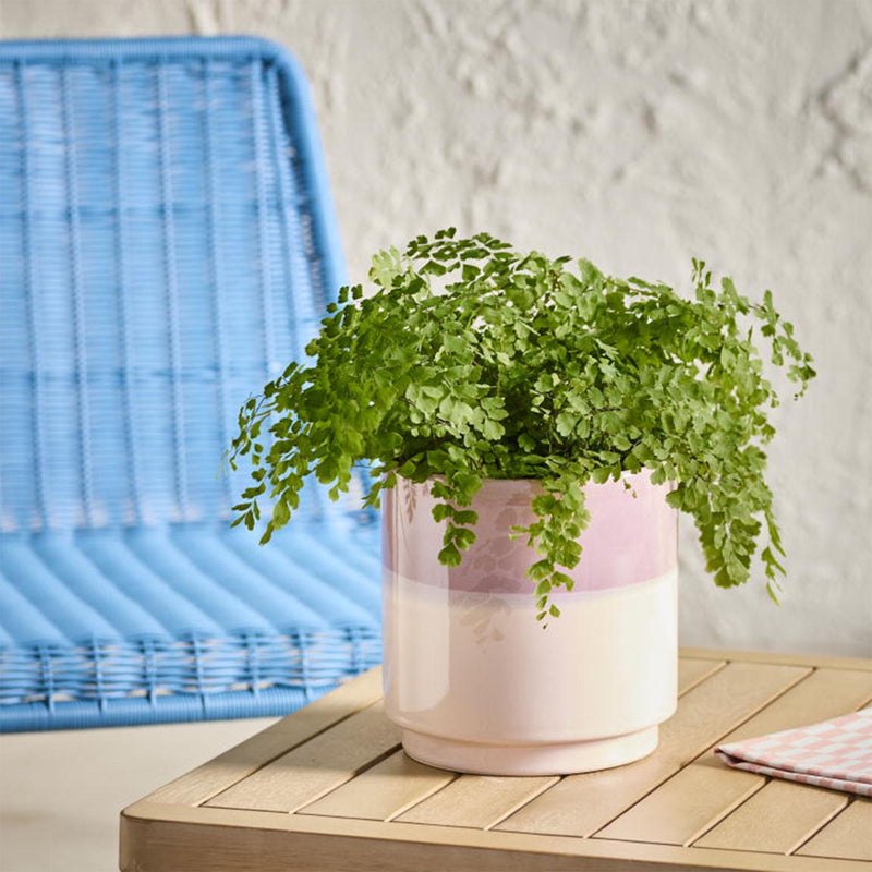 Sainsbury's Home Glazed Planter stoneware 20cm (British brand)