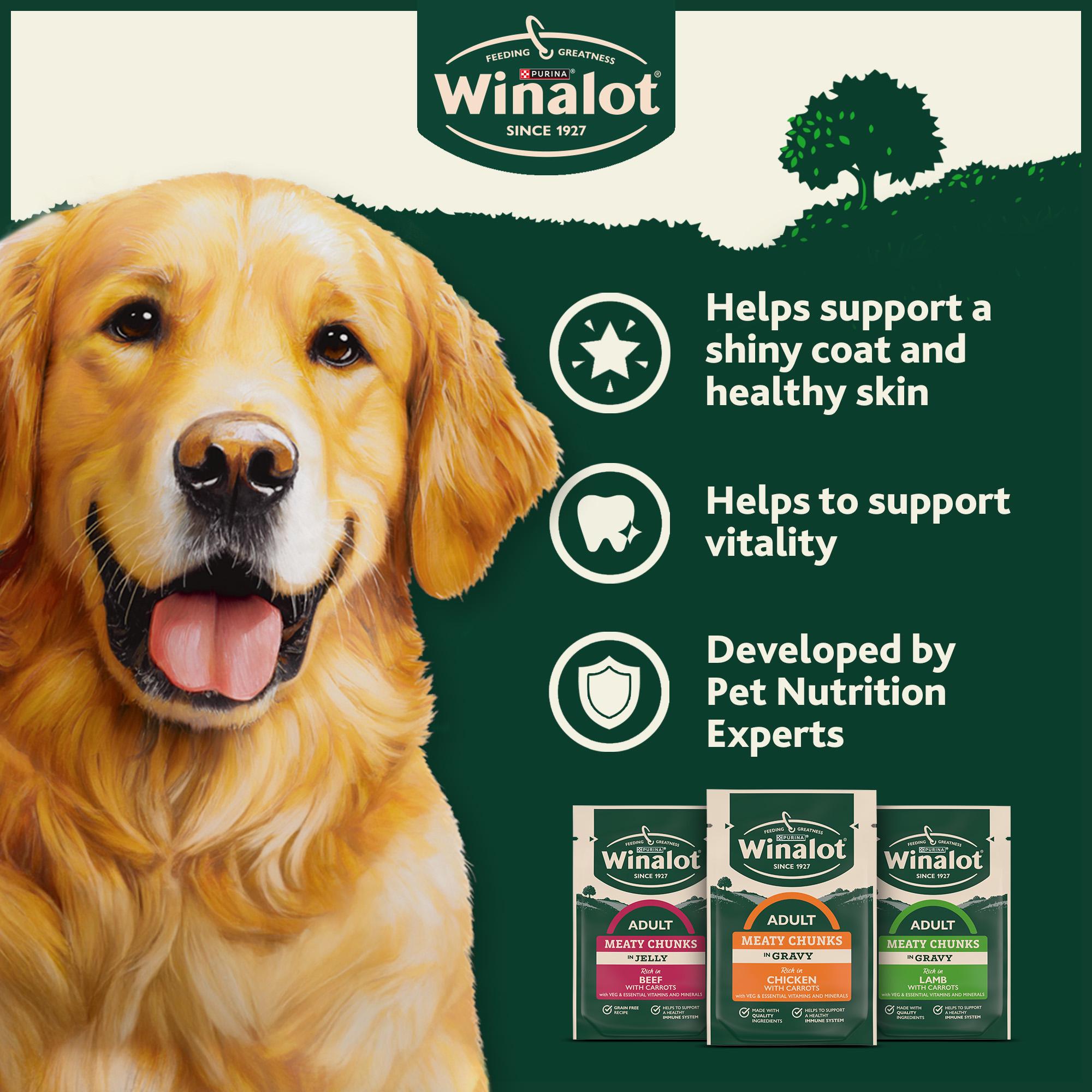 Winalot wet dog food Meaty Chunks Mixed in Gravy 40x100g (British brand)