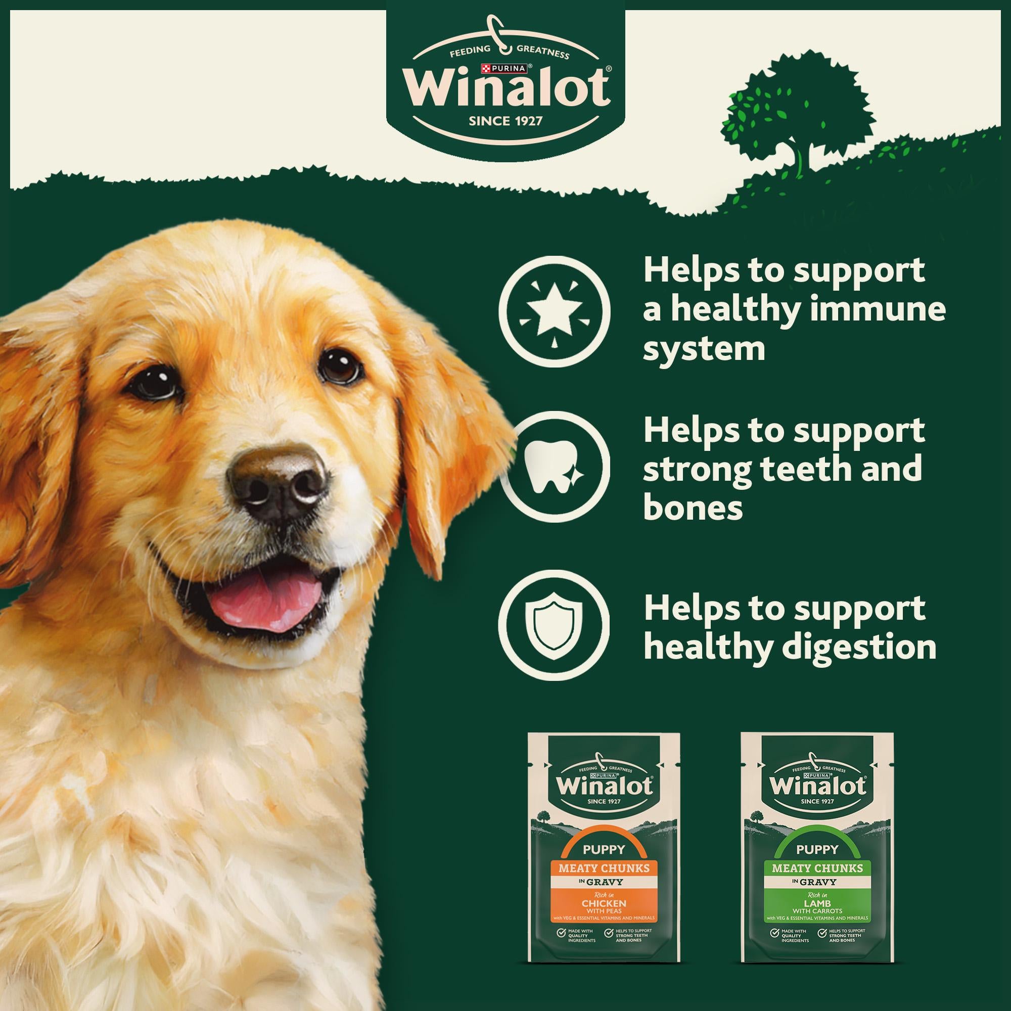 Winalot puppy Meaty Chunks Gravy 12x100g, imported from the UK
