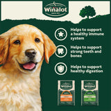 Winalot puppy Meaty Chunks Gravy 12x100g, imported from the UK