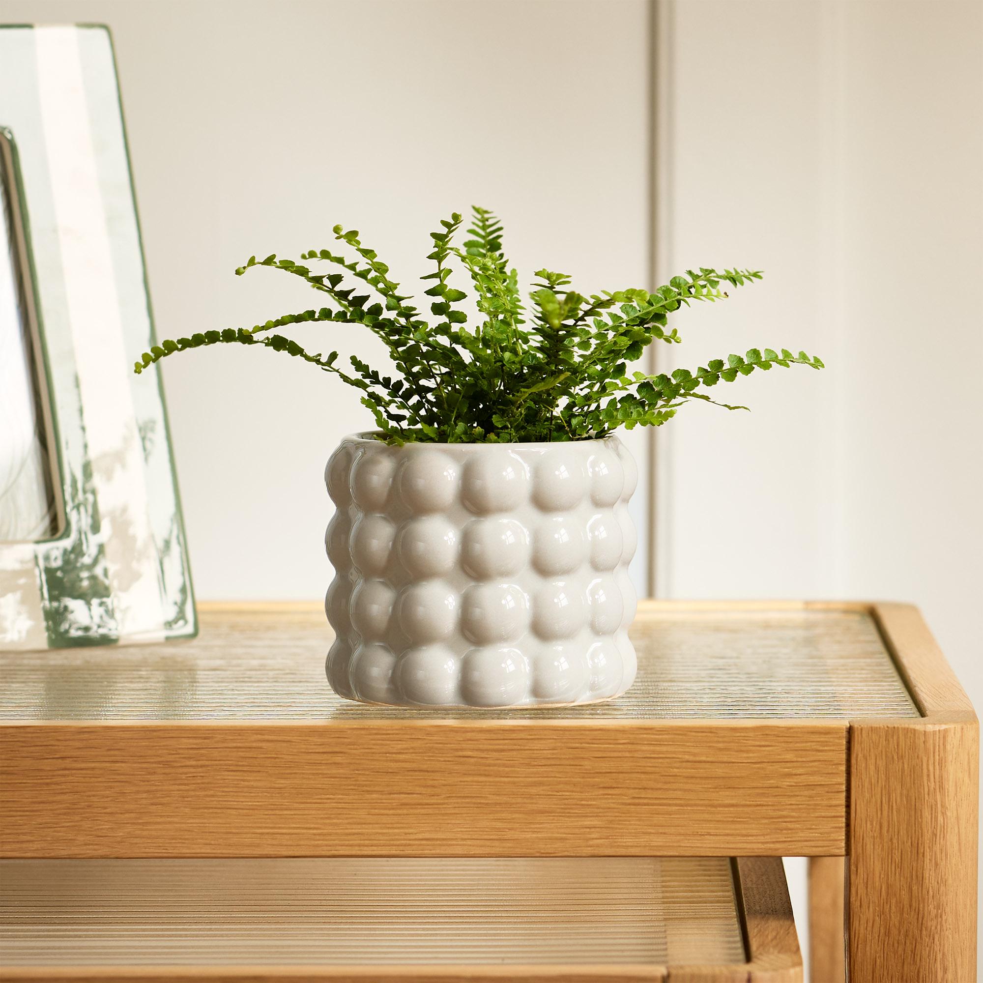Habitat stoneware bobble planter small indoor 10.5cm, UK version