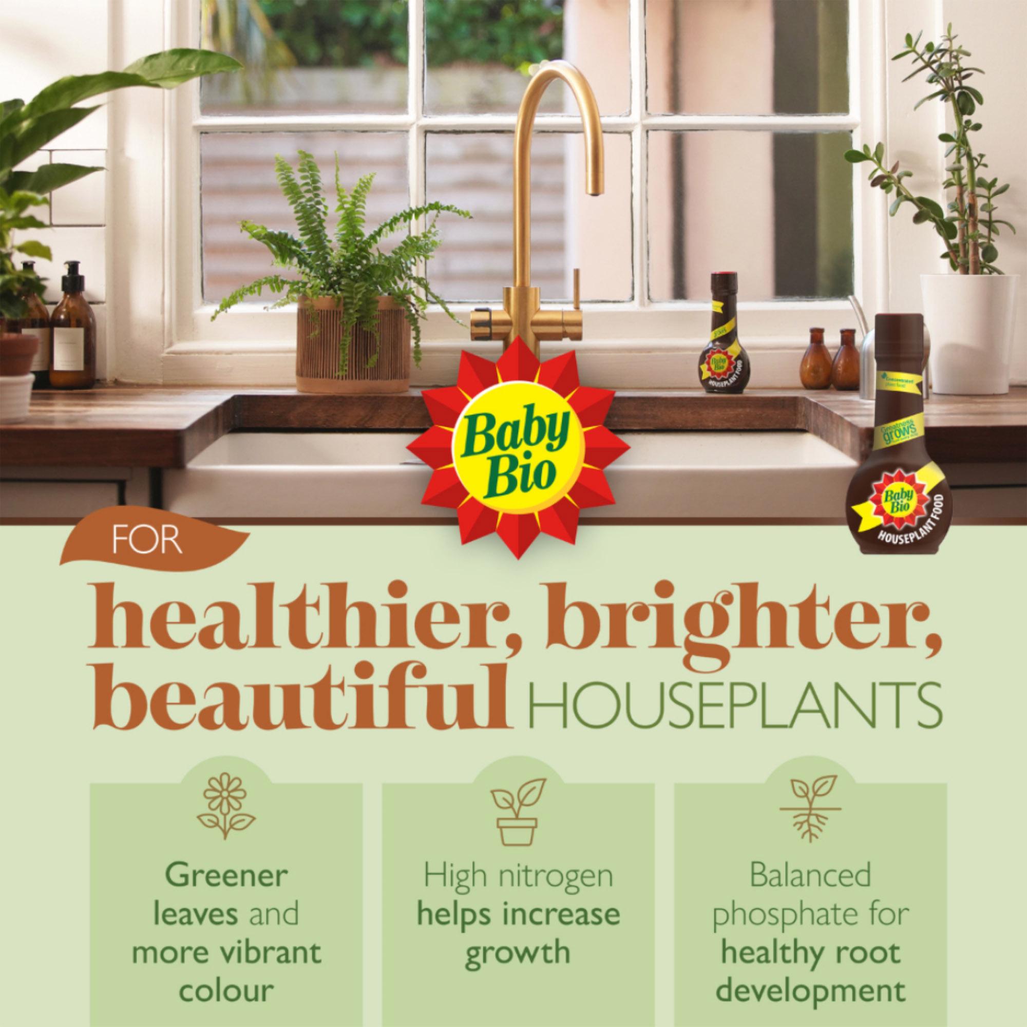 Baby Bio original houseplant food 175ml, imported from the UK